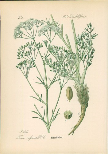Chromolithographie - ,