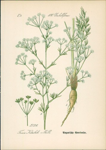 Chromolithographie - ,